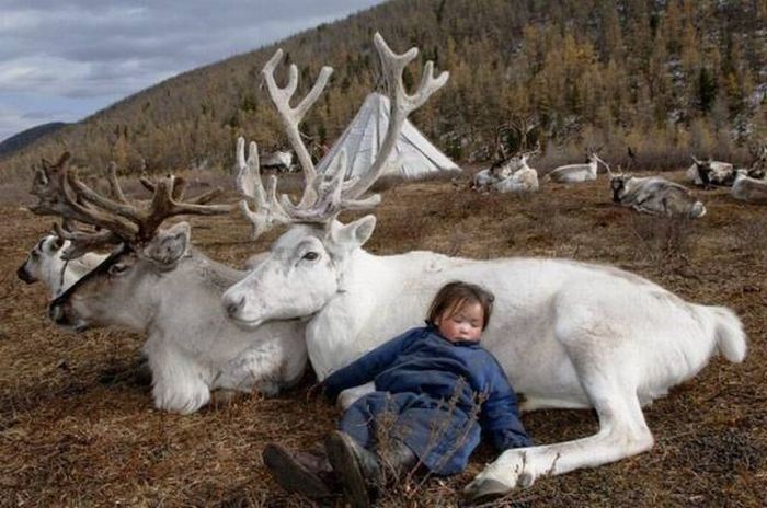 mongolia photography