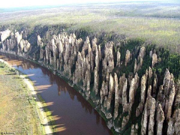 lena's stone forest