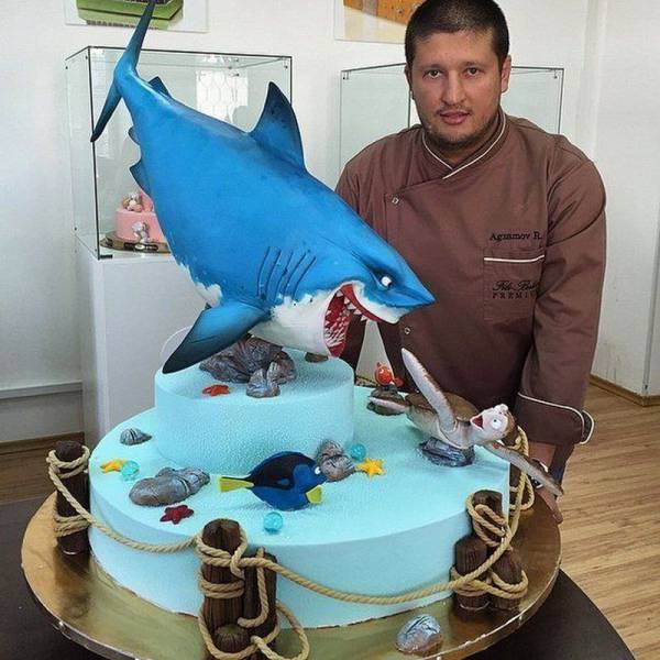 cool shark cakes - Agam