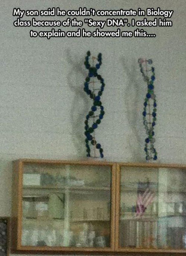 sexy dna - My son said he couldn't concentrate in Biology class because of the "Sexy Dna".I asked him to explain and he showed me this....