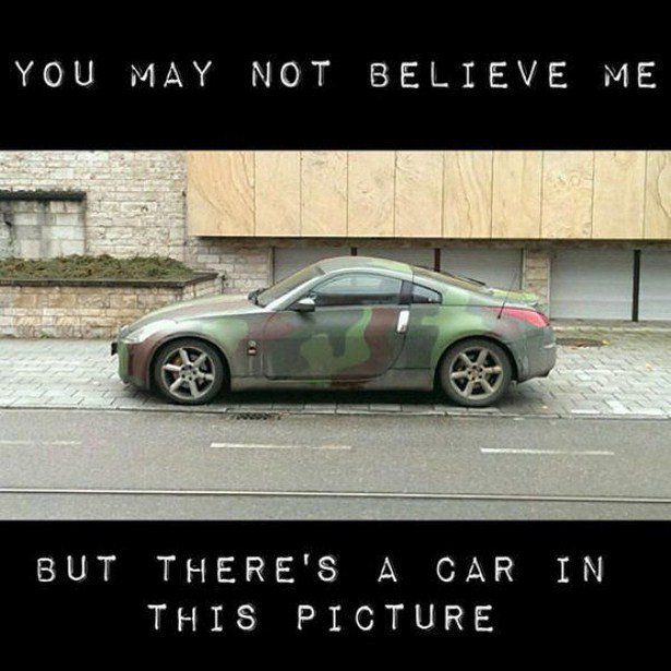 camo car meme - You May Not Believe Me But There'S A Car In This Picture