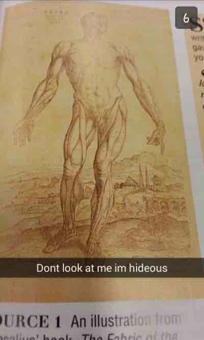 textbook snapchat human - yo Dont look at me im hideous Urce 1 An illustration from olhools The Cabrinha