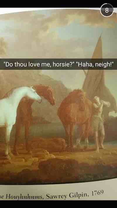 textbook snapchat mustang horse