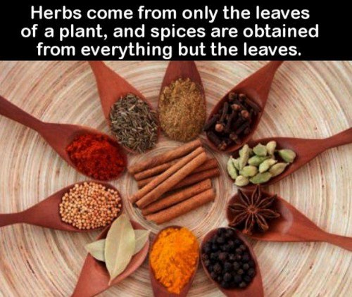 herbs and spices in vietnam - Herbs come from only the leaves of a plant, and spices are obtained from everything but the leaves,