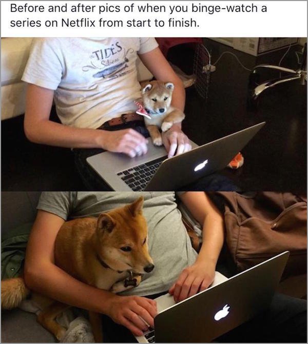 netflix meme - Before and after pics of when you bingewatch a series on Netflix from start to finish. Tides