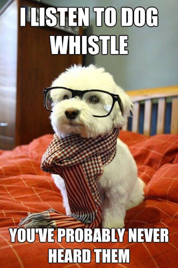 hipster dog - I Listen To Dog Whistle You'Ve Probably Never Heard Them