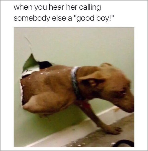 you can clock out meme - when you hear her calling somebody else a "good boy!"