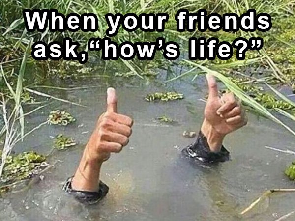 your life is going - When your friends ask,how's life?"