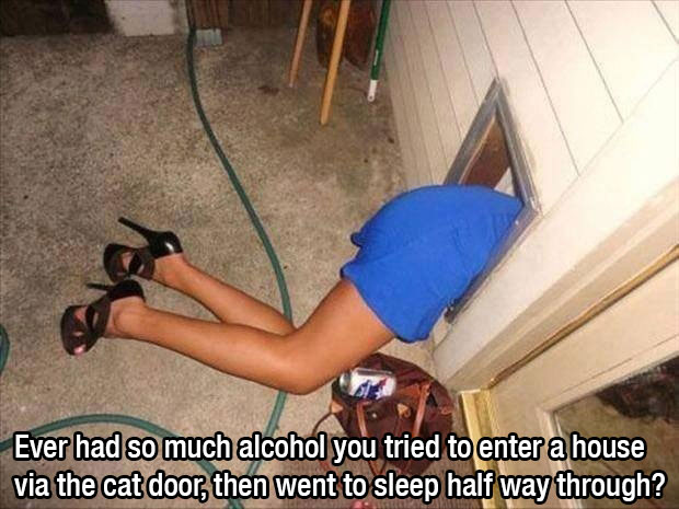 drunk lady funny - Ever had so much alcohol you tried to enter a house via the cat door, then went to sleep half way through?