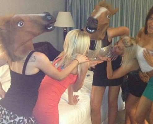 40 Fun Killer Pics to get you Through the Weekend!