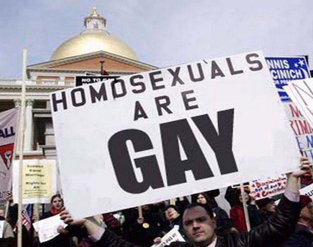 homosexuals are gay - L'Als Nnis Ciniche Homosexuals Are Gay