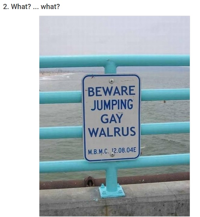 beware jumping gay walrus - 2. What? ... what? Beware Jumping Gay Walrus M.B.M.C. 12.08.04E