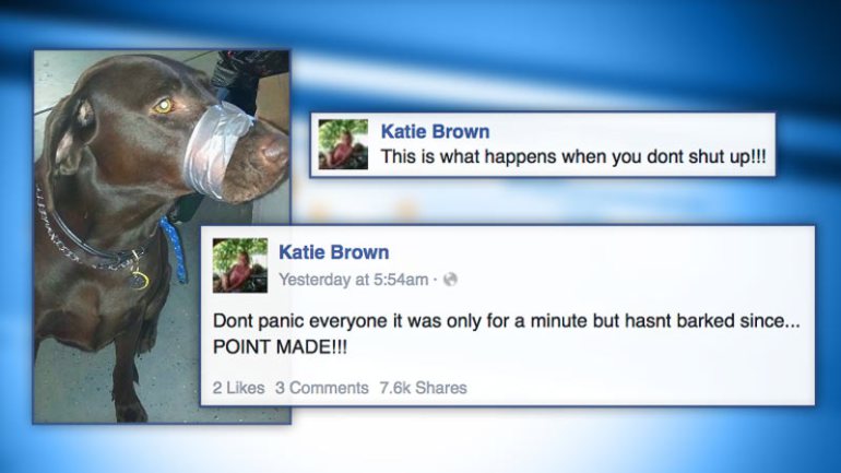 stupid social media people - Katie Brown This is what happens when you dont shut up!!! Katie Brown Yesterday at am Dont panic everyone it was only for a minute but hasnt barked since... Point Made!!! 2 3