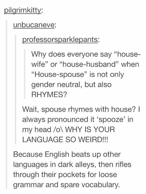 20 Times Tumblr Hilariously Explained The English Language!