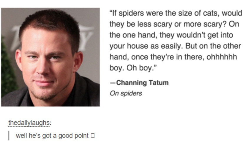 channing tatum on spiders - "If spiders were the size of cats, would they be less scary or more scary? On the one hand, they wouldn't get into your house as easily. But on the other hand, once they're in there, ohhhhhh boy. Oh boy." Channing Tatum On spid