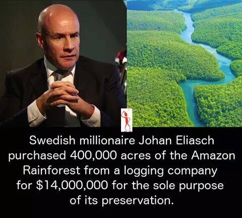 johan eliasch fined - Swedish millionaire Johan Eliasch purchased 400,000 acres of the Amazon Rainforest from a logging company for $14,000,000 for the sole purpose of its preservation.