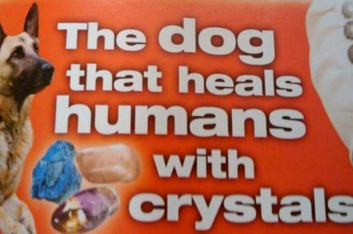 pasta zara - The dog that heals humans with crystals