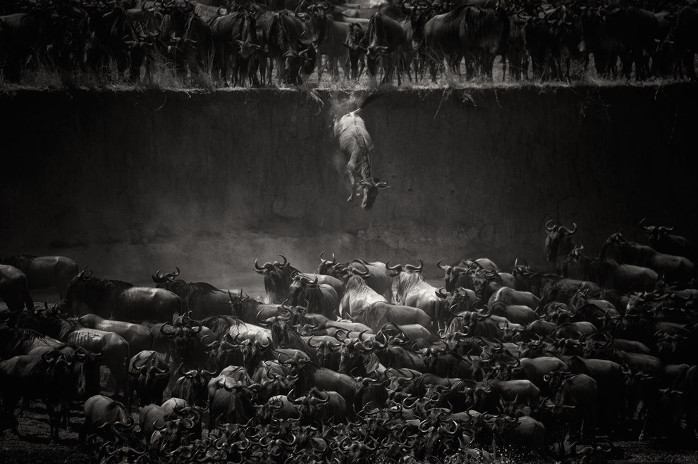 The Most Magnificent Images You've Probably Never Seen