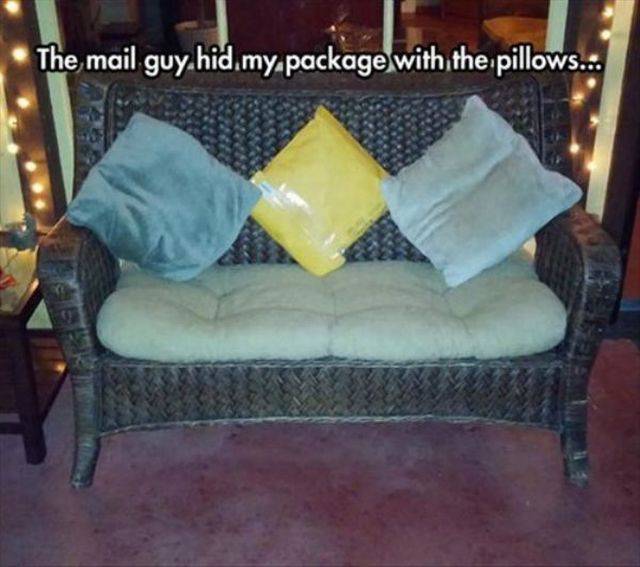 funny delivery - The mail guy.hid my package with the pillows..