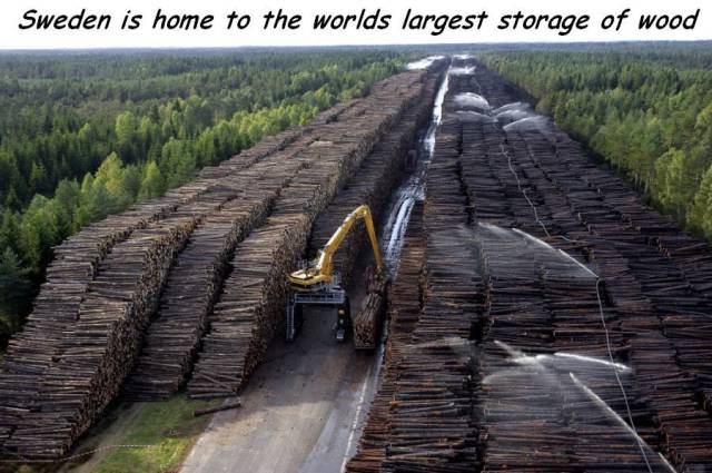 largest landfill in the world - Sweden is home to the worlds largest storage of wood