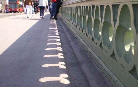 23 Times Your Shadow Got More Action Than You Did!