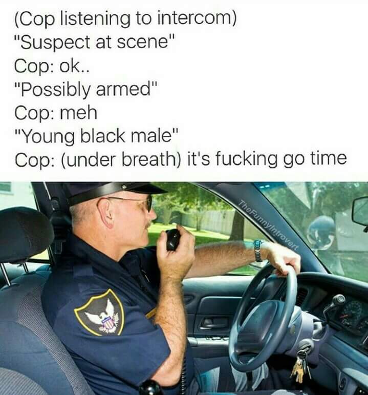 Dank meme about how cops totally love to bust a black guy.