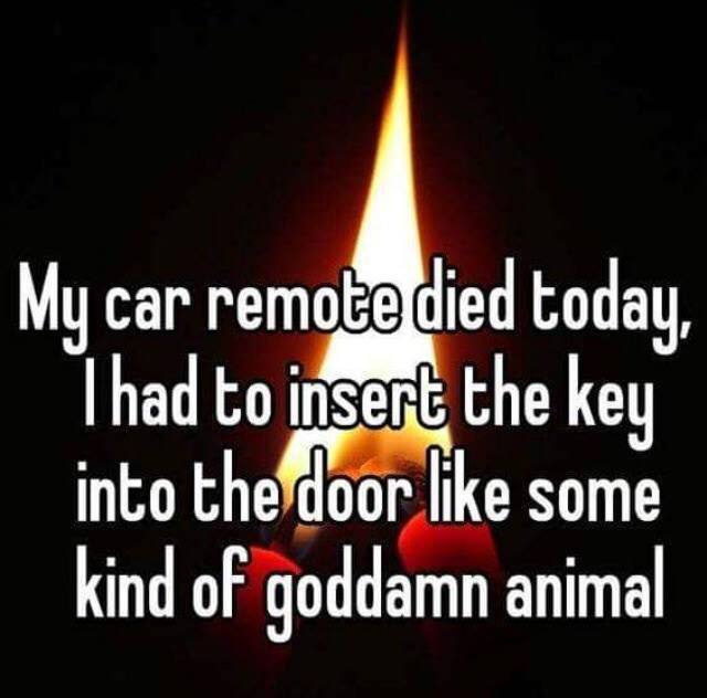 heat - My car remote died today, I had to insert the key into the door some kind of goddamn animal