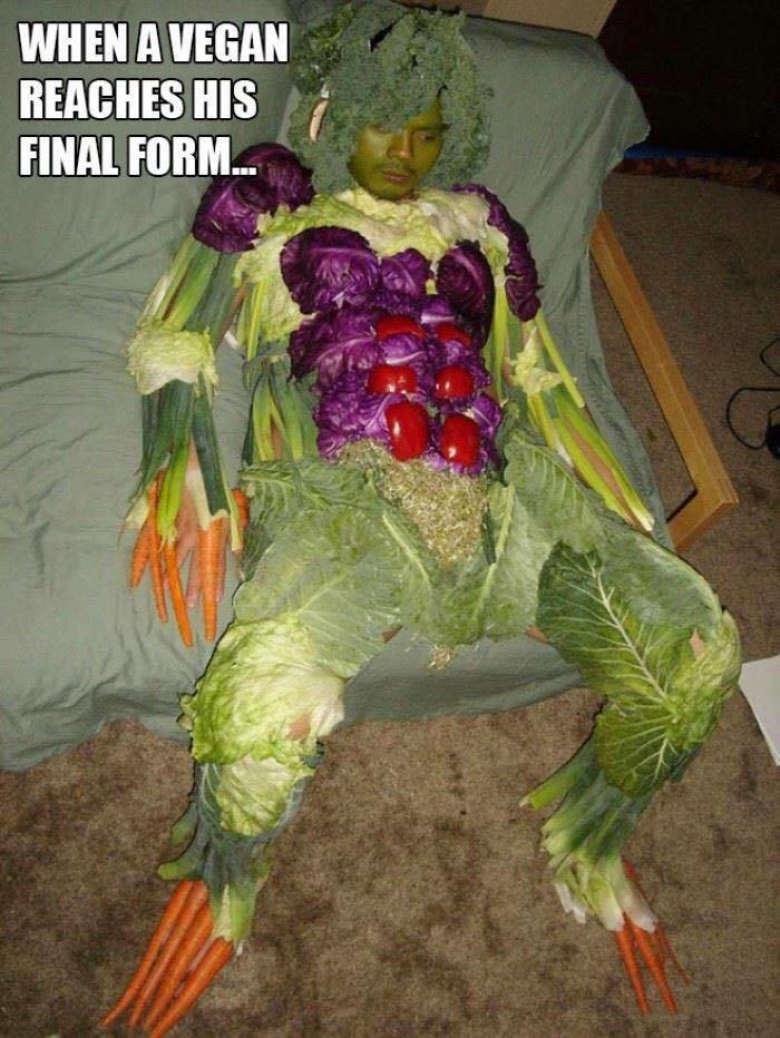 vegan final form - When A Vegan Reaches His Final Form.