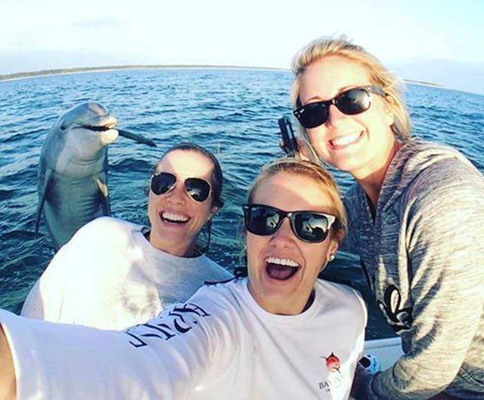dolphin selfie
