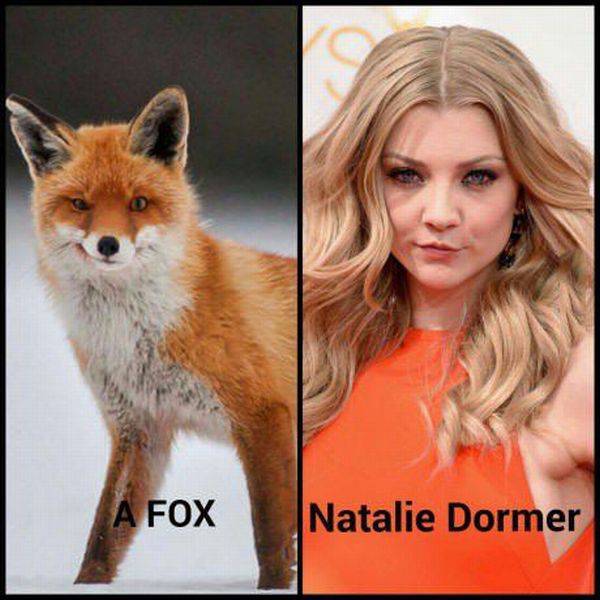natalie dormer animal - A Fox Natalie Dormer