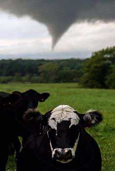 11 Most Awesome Tornado Photobombs!