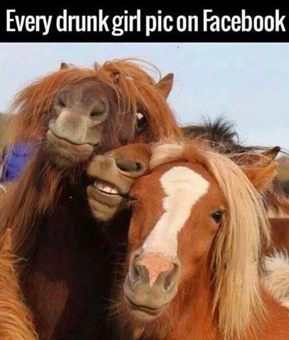 sassy horse - Every drunk girl pic on Facebook