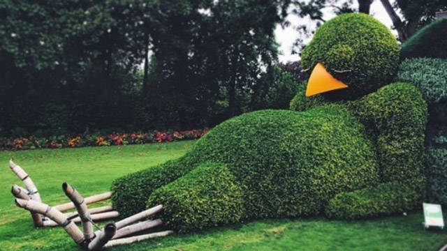 bird garden design