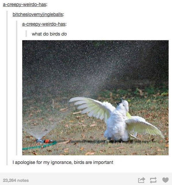 37 Times Tumblr Was So On Point!