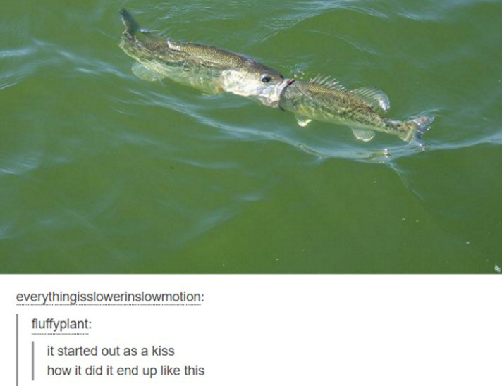 37 Times Tumblr Was So On Point!