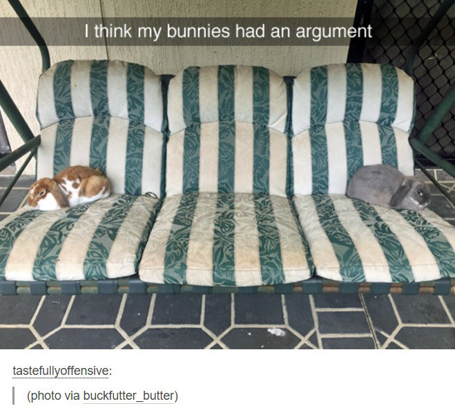 bed sheet - I think my bunnies had an argument tastefullyoffensive photo via buckfutter_butter