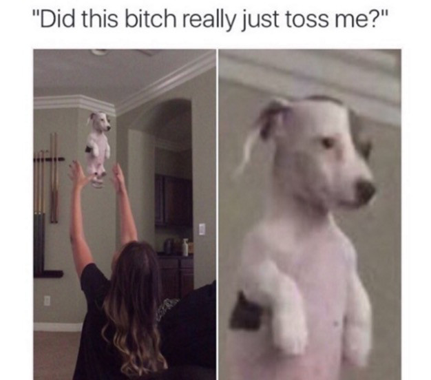 did this bitch really just toss me - "Did this bitch really just toss me?"