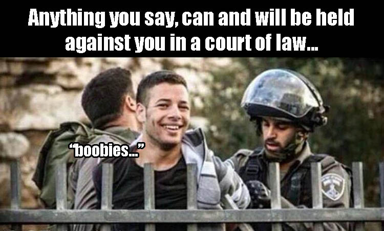 smiling while being arrested - Anything you say,can and will be held against you in a court of law... 'boobies." T