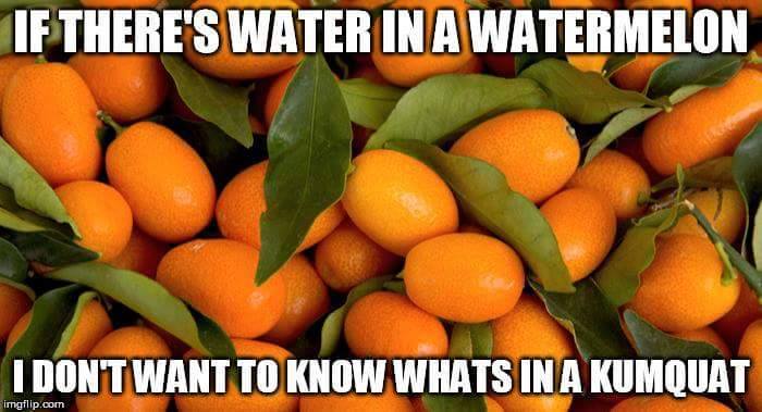 If There'S Water In A Watermelon I Don'T Want To Know Whats In A Kumquat imgflip.com