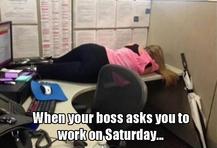 sleeping at work meme - When your boss asks you to work on Saturday...