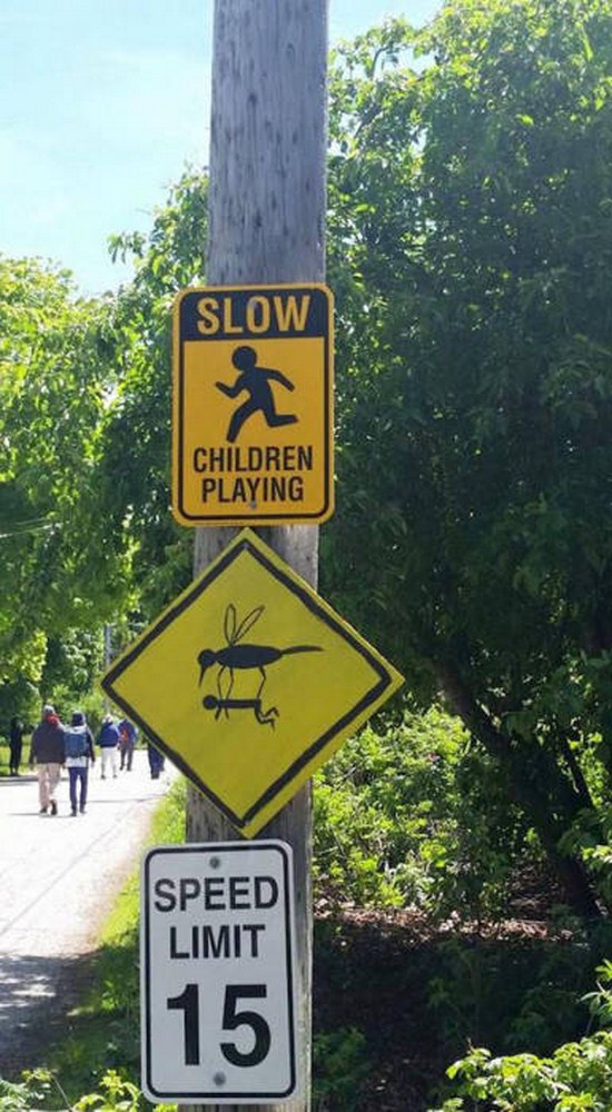 Slow Children At Play - Slow Children Playing Speed Limit