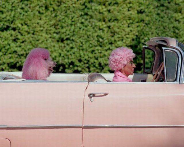 pink cadillac old lady