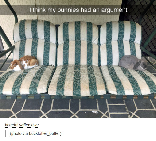 bed sheet - I think my bunnies had an argument tastefullyoffensive photo via buckfutter_butter