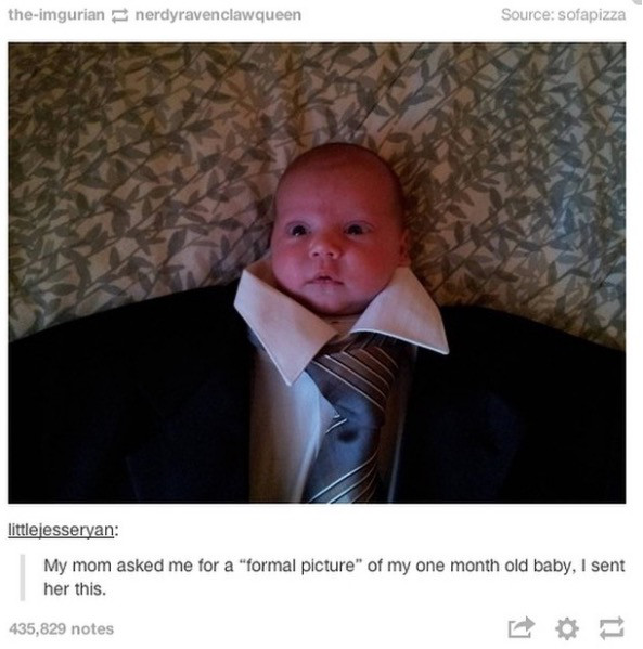 child in suit gif - theimgurian nerdyravenclawqueen Source sofapizza littlejesseryan My mom asked me for a "formal picture of my one month old baby, I sent her this. 435,829 notes