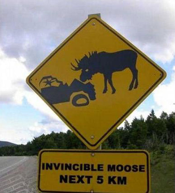 funny canadian road signs - Invincible Moose Next 5 Km