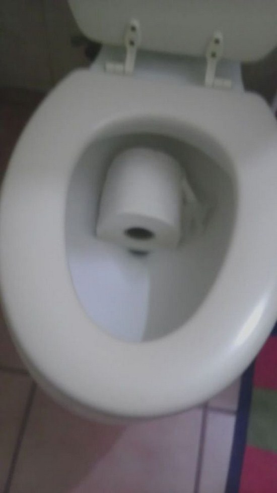 toilet seat