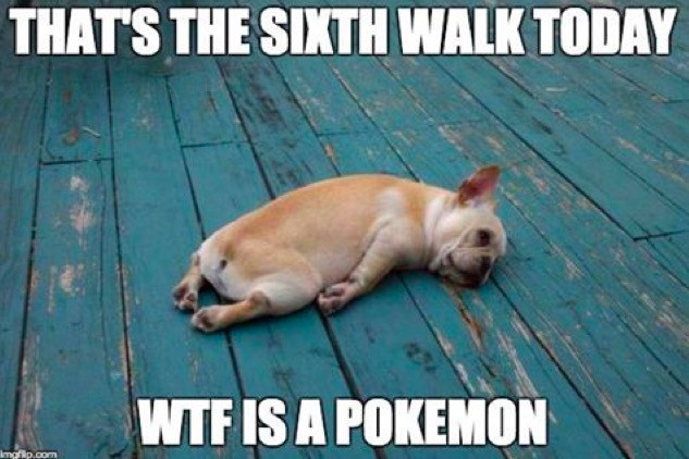 memes pokemon - That'S The Sixth Walk Today Wtf Is A Pokemon Imp.com