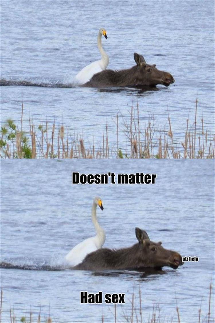 swan - Doesn't matter plz help Had sex