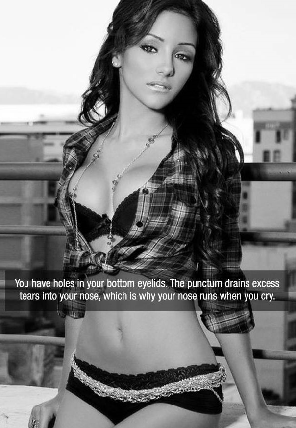 melanie iglesias - You have holes in your bottom eyelids. The punctum drains excess tears into your nose, which is why your nose runs when you cry.