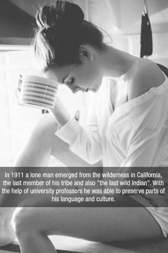 morning girl - In 1911 a lone man emerged from the wilderness in California, the last member of his tribe and also the last wild Indian". With the help of university professors he was able to preserve parts of his language and culture.